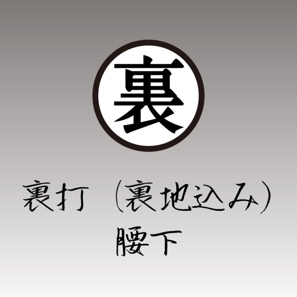 画像1: 裏打（裏地込み）腰下 (1)